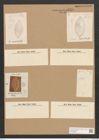Diatomeae indet. Zeichnungen Sammlung Grunow Nr. 2478 (NHMW-BOT-W0369658)